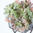 Фото #12 товара Искусственные цветы Homescapes Künstlicher Succulenten Arrangement