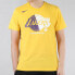 Фото #3 товара Nike Dri-fit NBA洛杉矶湖人队圆领短袖T恤 男款 黄色 / Футболка Nike Dri-fit NBAT AT0422-741