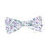 ფოტო #1 პროდუქტის FUZZYARD Bowtie Best In Show Pet Bowtie