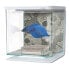 Фото #1 товара MARINA Betta Skull aquarium kit