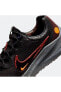 Zoom Winflo 8 Shield Erkek Koşu Ayakkabısı Dc3727-200