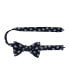 The Chopin Classical Piano Silk Bow Tie