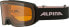 Фото #1 товара ALPINA Nakiska Anti-Fog, Extremely Robust and Shatterproof OTG Ski Goggles with 100% UV Protection for Adults