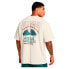 ფოტო #3 პროდუქტის UNDER ARMOUR Heavyweight Record Breakers short sleeve T-shirt