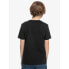 ფოტო #2 პროდუქტის QUIKSILVER All Lined Up short sleeve T-shirt