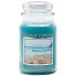 Фото #1 товара Beachside scented candle in glass 602 g