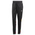 Фото #11 товара adidas men Tiro Training Pride Pants