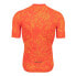 Фото #3 товара PEARL IZUMI Interval short sleeve jersey