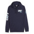 Фото #1 товара PUMA Manchester City Ftblicons hoodie