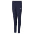 Фото #1 товара PUMA TeamRise Poly Training Pants