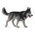 Фото #1 товара Фигурка Collecta Collected Siberian Husky Figure The Dogs (Собаки)
