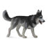 Фото #1 товара COLLECTA Siberian Husky Figure