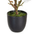 Фото #2 товара Декоративное растение полиэстер полиэтилен Железо 22 x 22 x 38 cm Magnolia