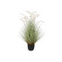 Фото #1 товара Декоративное растение Home ESPRIT PVC полиэтилен 60 x 60 x 120 cm
