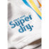 Фото #6 товара SUPERDRY Rainbow Side Logo Shorts