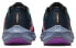 Кроссовки Nike Pegasus 40 40 SE FJ2974-001