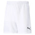 PUMA TeamRise Shorts