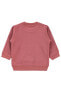 Фото #14 товара Bebek Sweatshirt 6-18 Ay Gül Kurusu