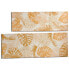 Canvas Leaf of a plant Golden 135 x 45 x 1,5 cm (6 Units)