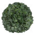 Фото #1 товара Декоративное растение Зеленый PVC 19 x 19 cm