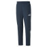 Фото #1 товара PUMA Manchester City Ftbl Archive 22/23 Pants