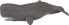 Фото #1 товара Фигурка Papo Фигурка кашалота Sperm whale (401310) ( Фигурки )