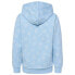 Фото #2 товара HUMMEL Flow hoodie