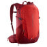 Фото #1 товара SALOMON Trailblazer 30L backpack