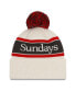 ფოტო #2 პროდუქტის Men's Stone Atlanta Falcons Sundays Cuffed Pom Knit Hat
