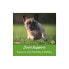 Фото #6 товара Витамины и добавки NOW Joint Support для собак и кошек, 90 жевательных таблеток, 130,5 г