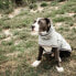 Фото #6 товара KENTUCKY Dog Rain Coat