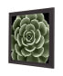 Фото #2 товара Green Succulent IV Framed Art