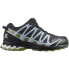 SALOMON XA Pro 3D V8 Goretex trail running shoes