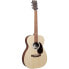 Фото #1 товара Martin Guitars 00-X2E