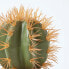 Фото #11 товара Искусственные цветы Homescapes Маленький искусственный кактус с оранжевыми шипами, в горшке из терракоты, 15 см.