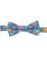 ფოტო #1 პროდუქტის Men's Tropical Bow Tie