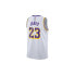 Nike Nba Los Angeles Lakers Lebron James Association Edition Swingman