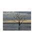 Фото #1 товара Danny Head Gray Skies Canvas Art - 20" x 25"