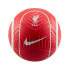 Фото #1 товара Nike Liverpool FC Strike