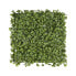 Pflanzenwand Jade-Leaf