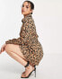 AX Paris mini shirt dress in leopard