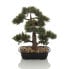 Фото #1 товара Kunstpflanze BONSAI