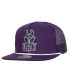 ფოტო #1 პროდუქტის Men's Purple Milwaukee Bucks Roper Mesh back Trucker Snapback Hat