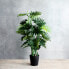 Фото #4 товара Искусственные цветы MICA Decorations Philodendron 120 см Гибридный