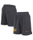 ფოტო #1 პროდუქტის Men's Anthracite LSU Tigers 2024 Sideline Mesh Shorts