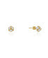 ფოტო #1 პროდუქტის The Sol Earrings