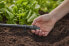 Gardena Plug - Pipe end plug - Drip irrigation system - Plastic - Black - Female - 13 mm