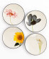 Фото #1 товара Colorwave Floral Set of 4 Appetizer Plates