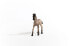 Schleich Horse Club Criollo Definitivo Foal Toy Figure 5 to 12 Years Brown