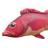 Фото #2 товара Подушка декоративная Gaby The Atlantic Redfish Medium